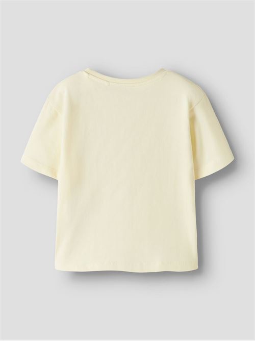  NAME.IT | 13253642/Pear Sorbet
